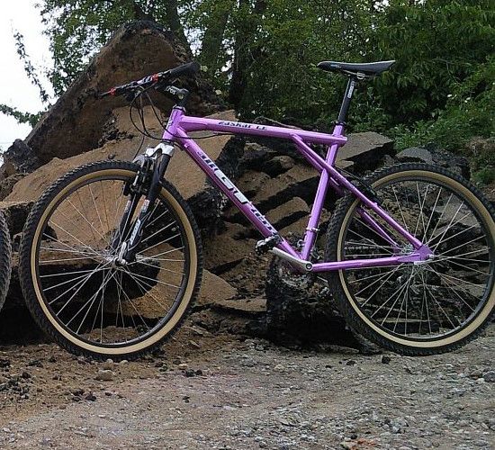 ZaskarPurple