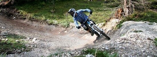 IMG 2977 bearbeitet