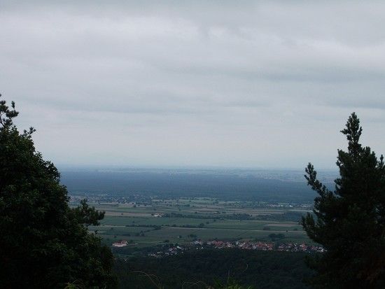 DSCF4935b