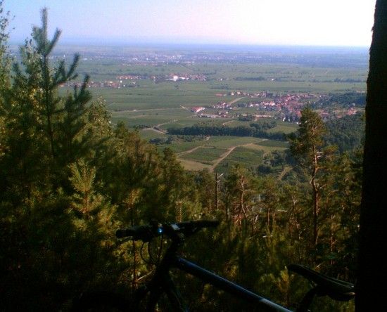 TrailzShaus08 09