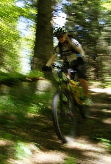 comp DSC01528a