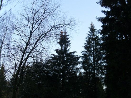 Hanskhnenburg3