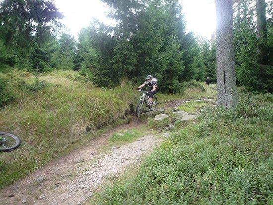 Harz 11.09.10