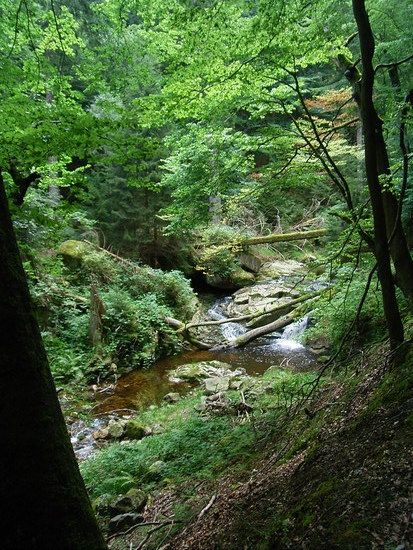 R0014948
