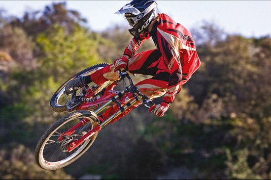 matti whip