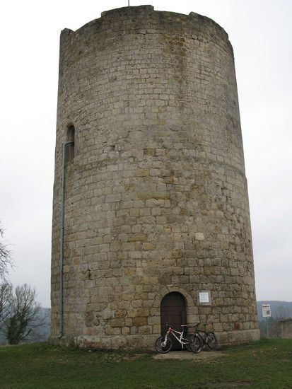 IMG 0648