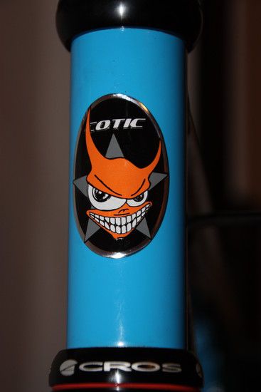 CoticBFeProjekt11