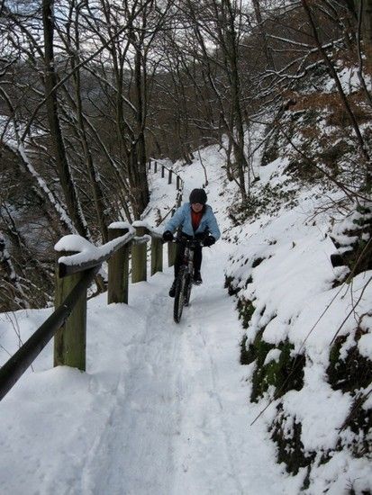 IMG 3084