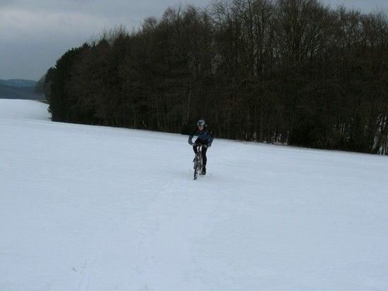 IMG 3155