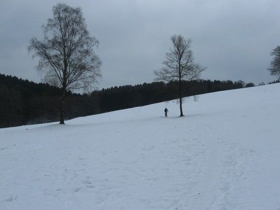 IMG 3157