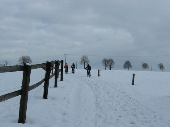 IMG 3205