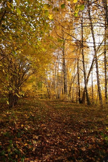 Herbst2K10Bild006
