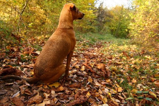 Herbst2K10Bild011