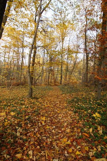 Herbst2K10Bild039