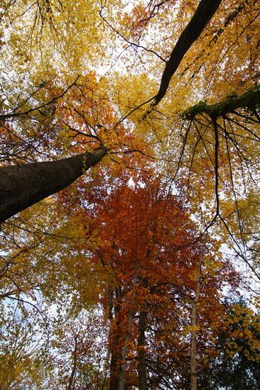 Herbst2K10Bild041