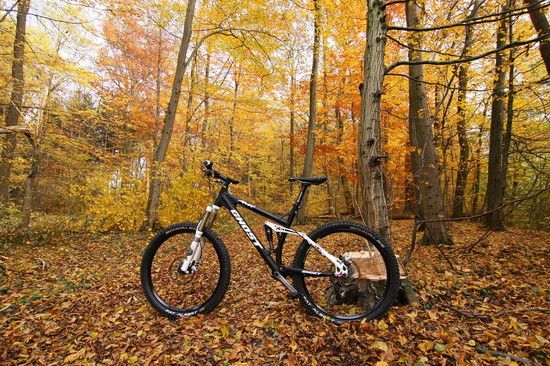 Herbst2K10Bild070