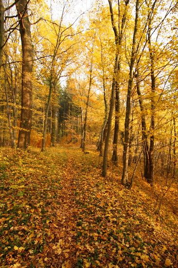 Herbst2K10Bild118