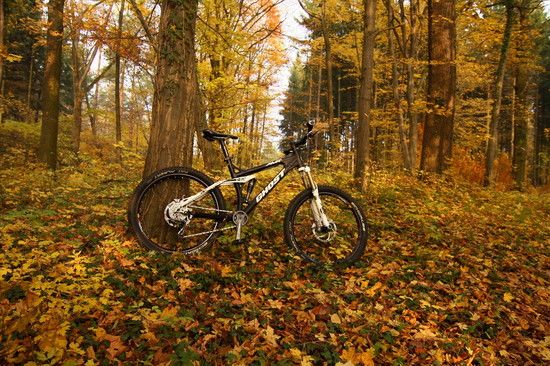 Herbst2K10Bild126