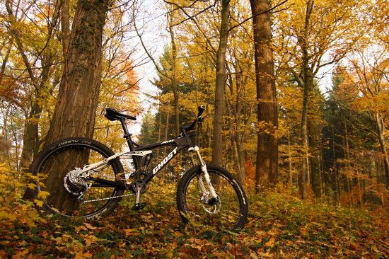 Herbst2K10Bild128