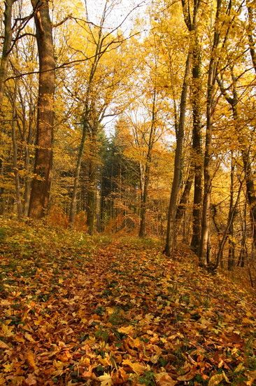 Herbst2K10Bild137