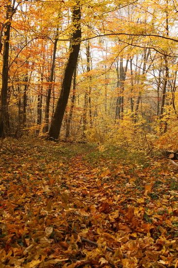 Herbst2K10Bild149