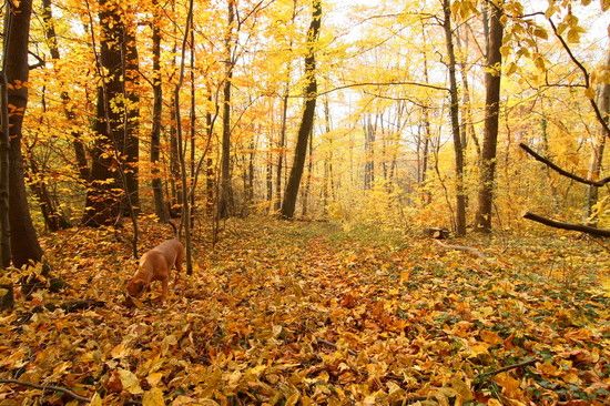 Herbst2K10Bild156