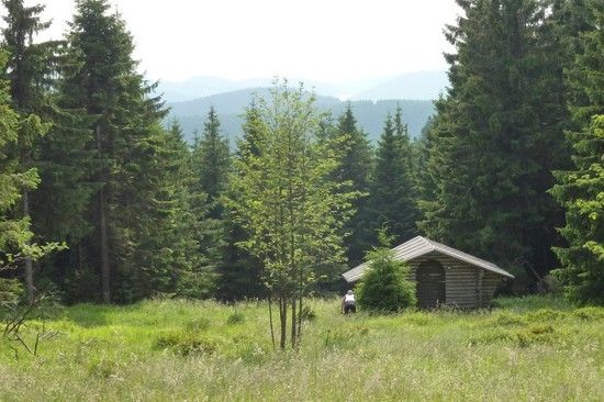 P1050064