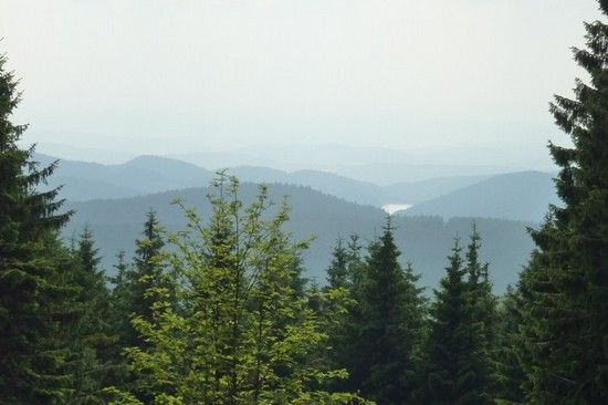 P1050078