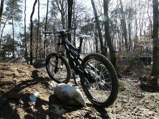 Yeti 303 RDH