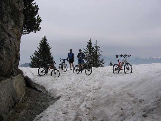 IMG 0248