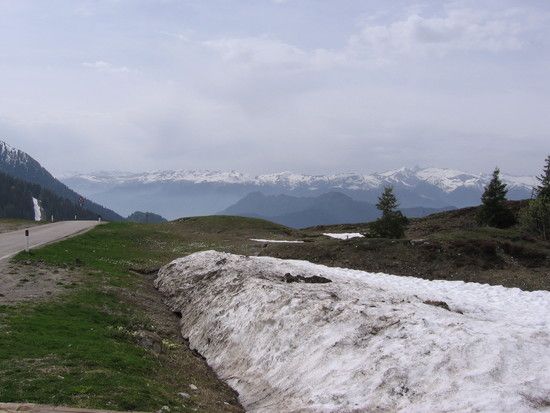 IMG 0253