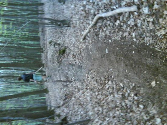 Dsc00225