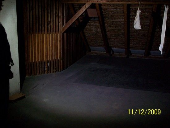 Zebralight H501 - 96 Lumen