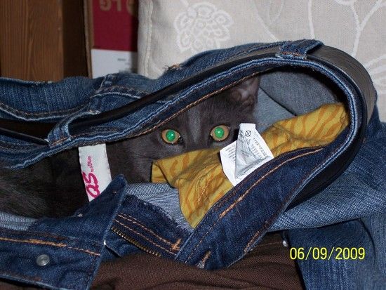 100 8973