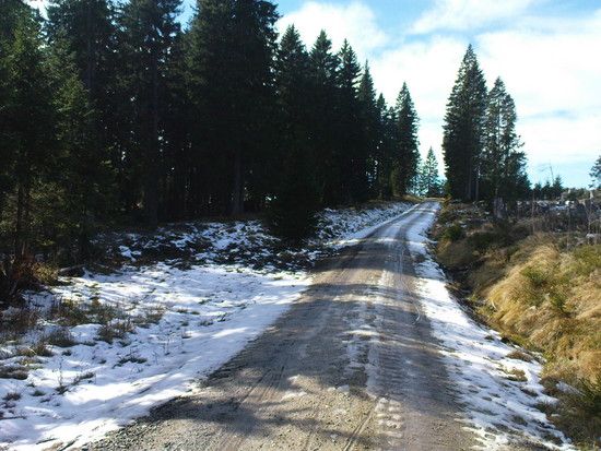 DSC00697