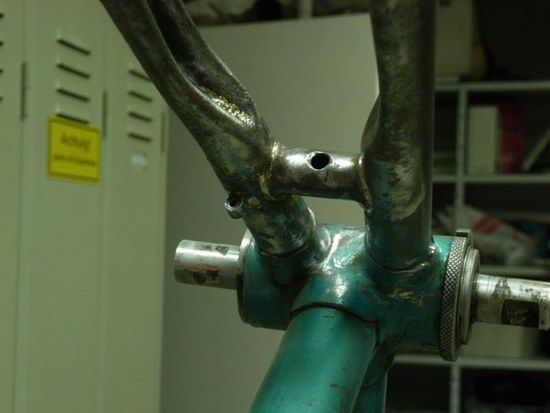 Rost019