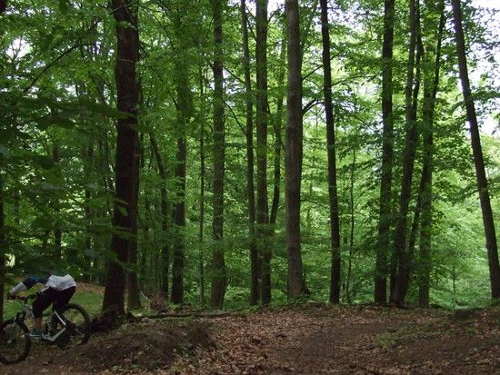Radfahren13.Mai2010047