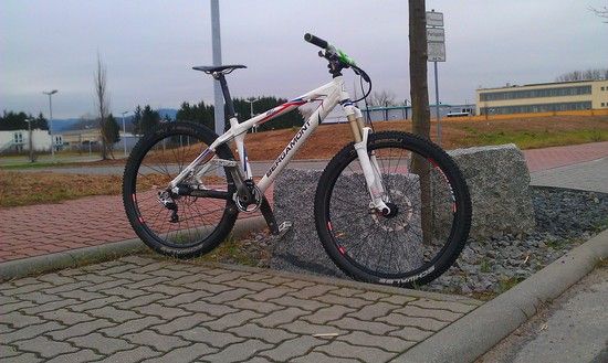 BergamontKiez1.0