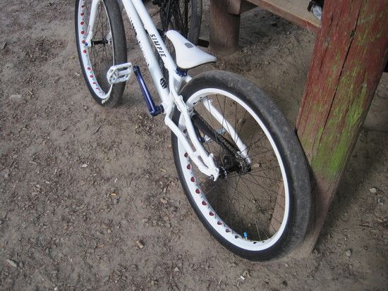 IMG 3133