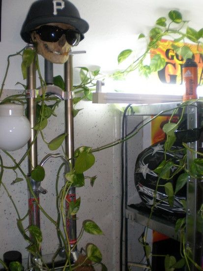 P3060024