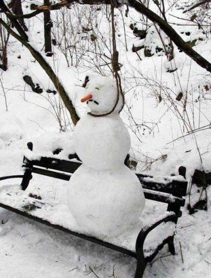 Winteraus