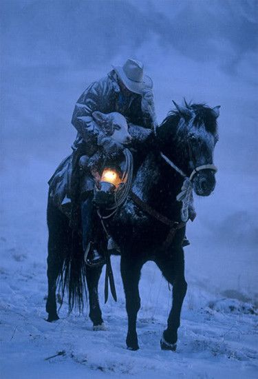 cowboy