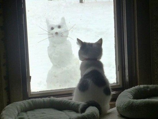 daily picdump 590 640 3mzu