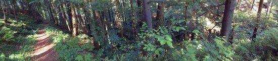 DSC01231
