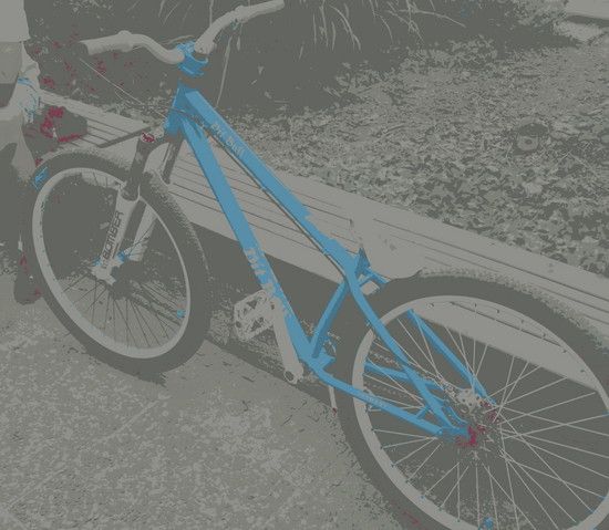 30062010321-001