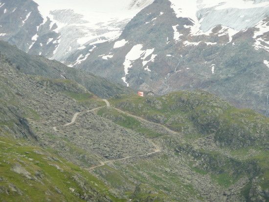 P1000356