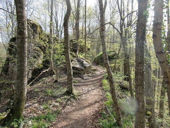 110410 Wackerstein4