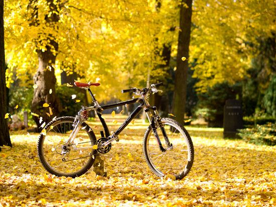 Herbst-7