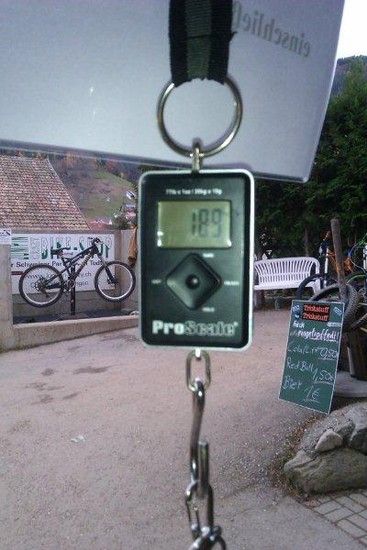 IMAG0631