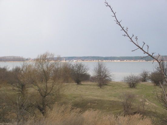Bild012 1270151673